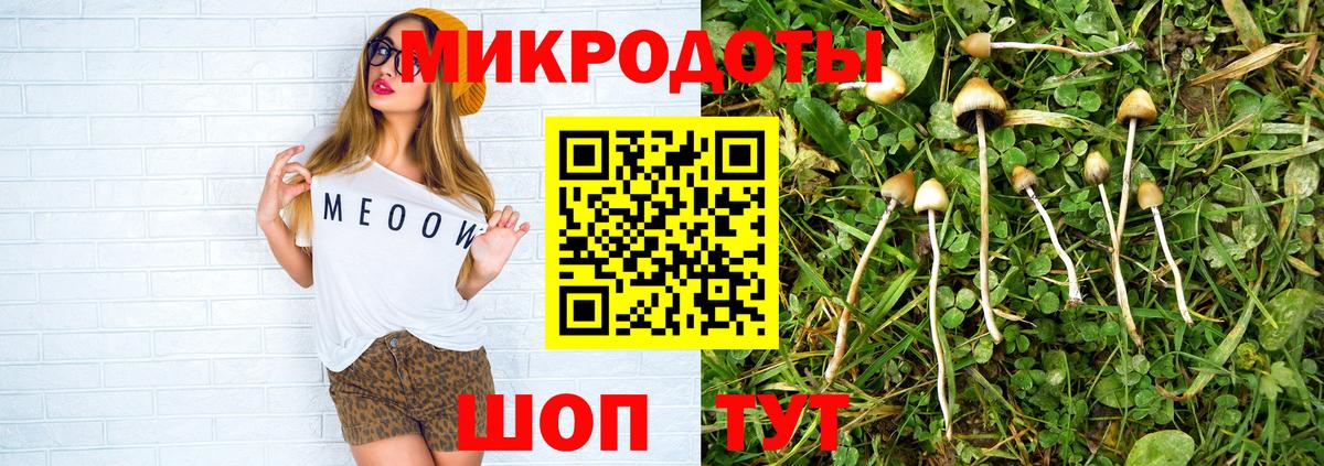 Псилоцибиновые грибы ЛСД Ахтубинск