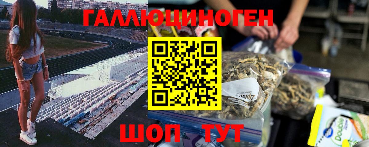 Галлюциногенные грибы GOLDEN TEACHER  Галлюциногенные грибы прущие грибы  Ахтубинск  Вход с VPN 